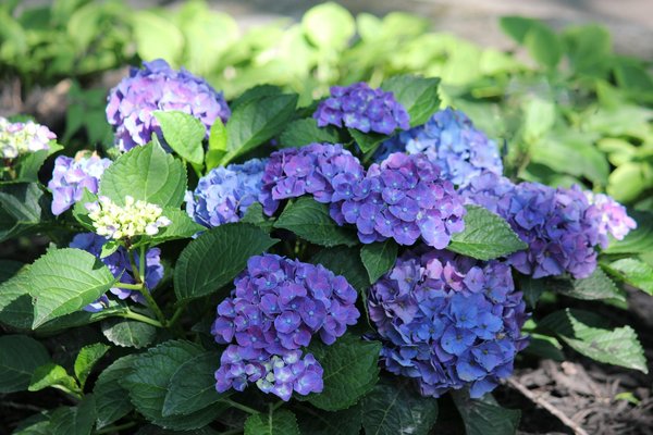 Art contemporain noir et blanc : son impact visuel et les tendances sur le marché