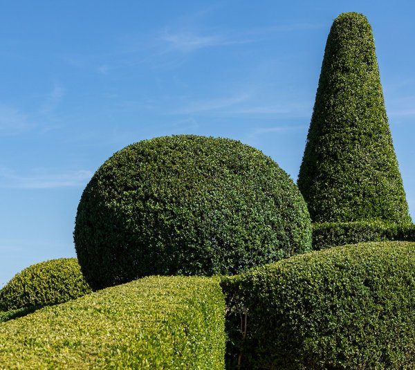 Comment créer un espace de détente au niveau du sol dans votre jardin?