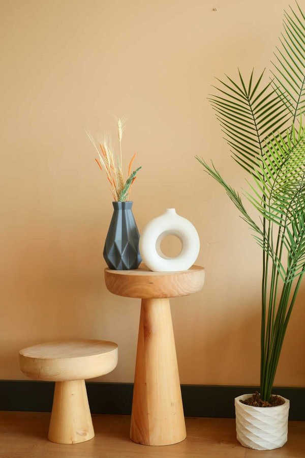 Astuces décoration intérieur : Comment intégrer les plantes ?